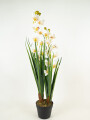 Planta Orchid 90cm Color Unico
