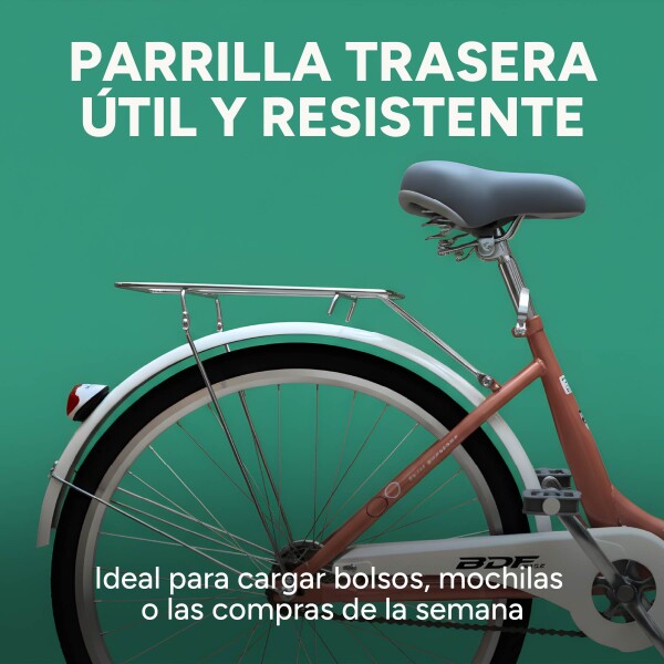 Bicicleta BDF Paseo Urbana Rodado 26 " Canasto Freno V-Brake Rosa 1