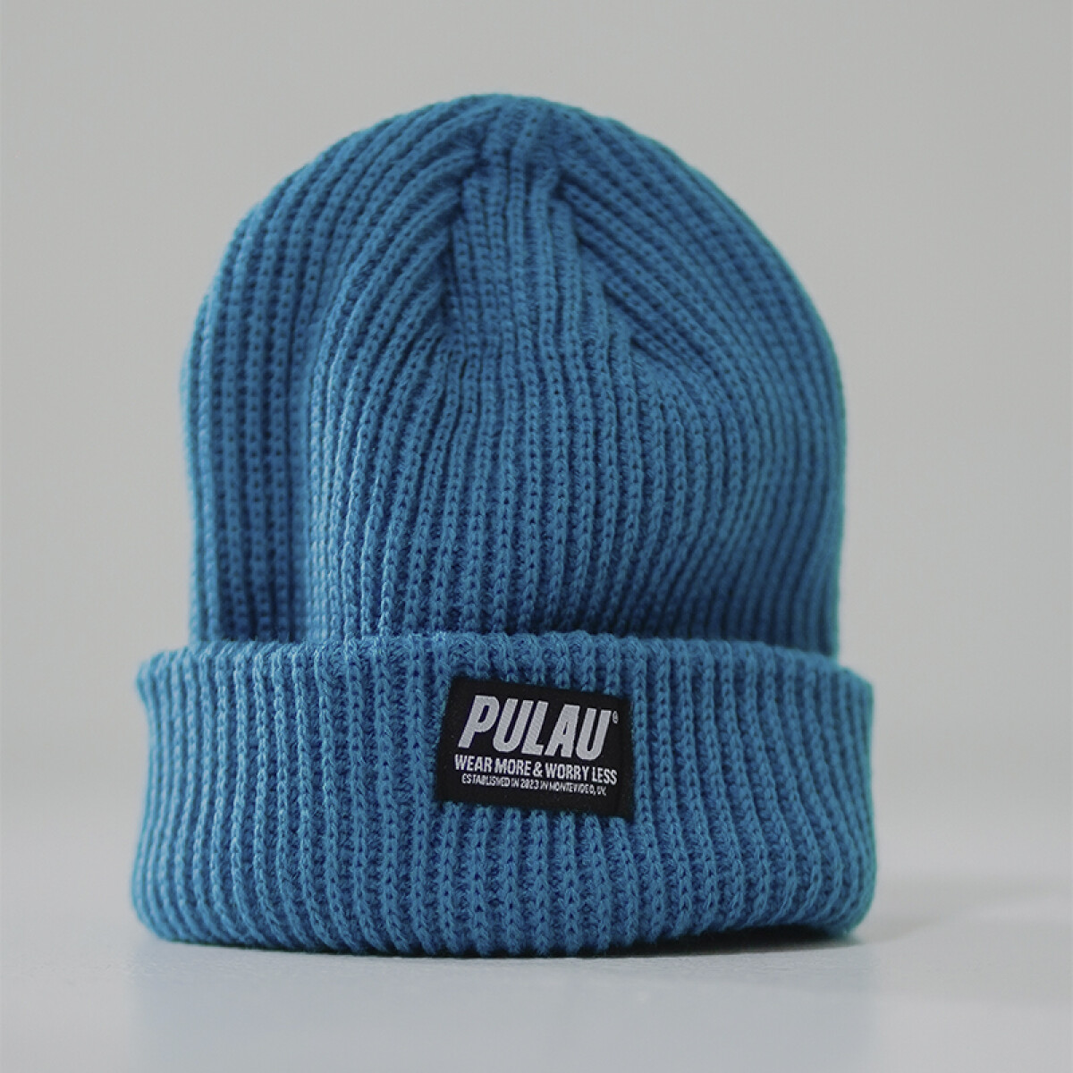 Gorro Pulau Beanie Patagonia - Azul 