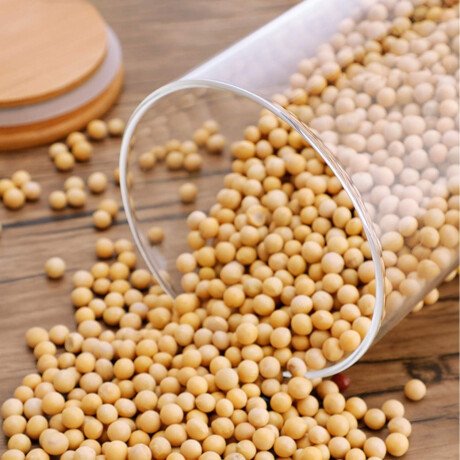 Frasco Recipiente Classic en Vidrio y Tapa en Madera 1000Ml Transparente