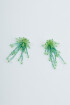 Pirla Green