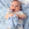 Apego OSO buba celeste