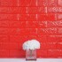 Revestimiento Pared Adhesivo Facil Colocacion Piedra X5 Uni Color Variante Rojo