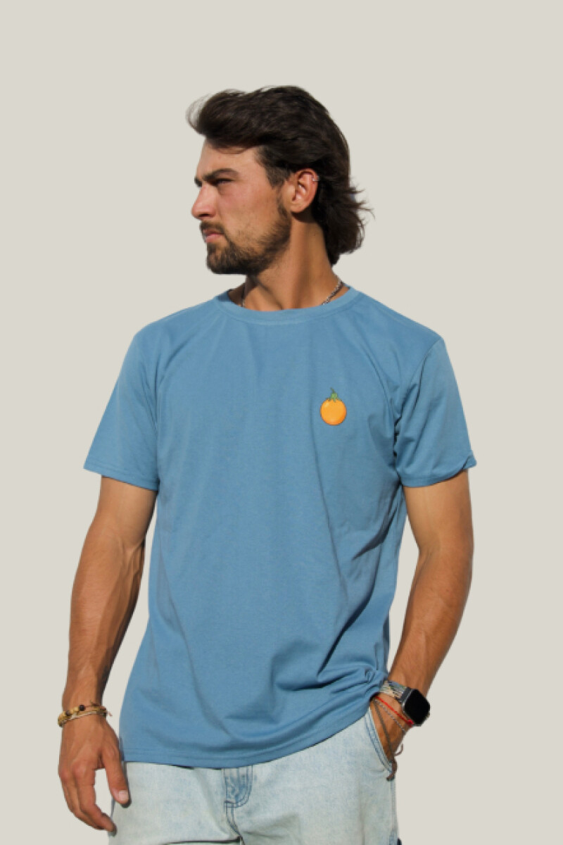 Camiseta Mburucuya Brixton Azul Piedra