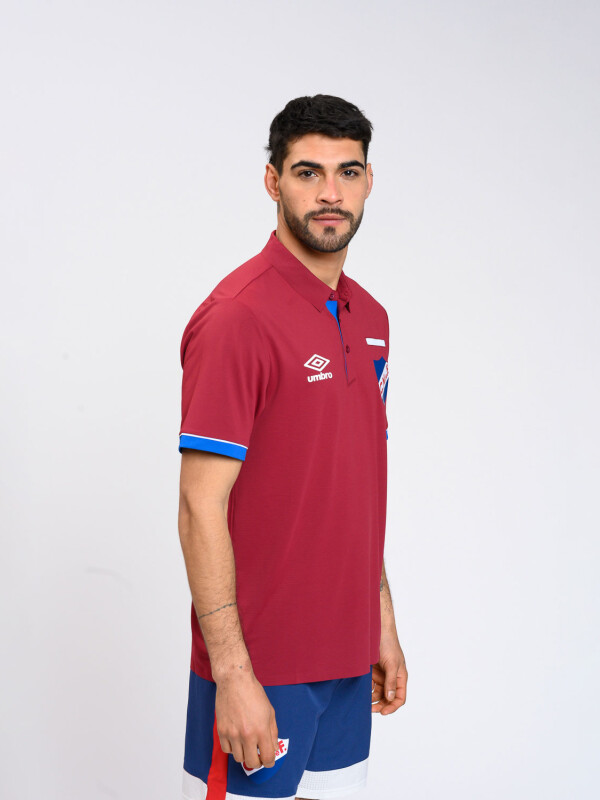 REMERA POLO MOLO HOMBRE Nacional Hombre Beige, ordeaux, Azul Royal