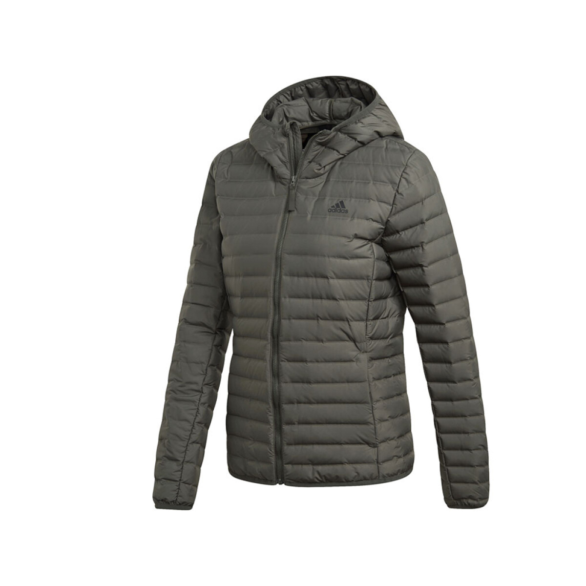 CAMPERA adidas VARILITE SOFT - Dark Green 