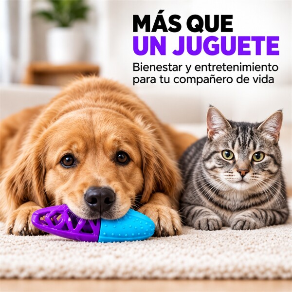 Juguete Morder Perros Gatos Limpieza Dental Golosinas Premio Celeste Violeta