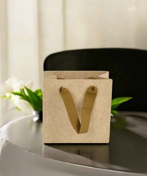 Bolsa cartulina eco 10x05x10 cm MADERA