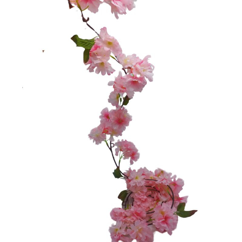 Guía de Flores Surtidas Rosado