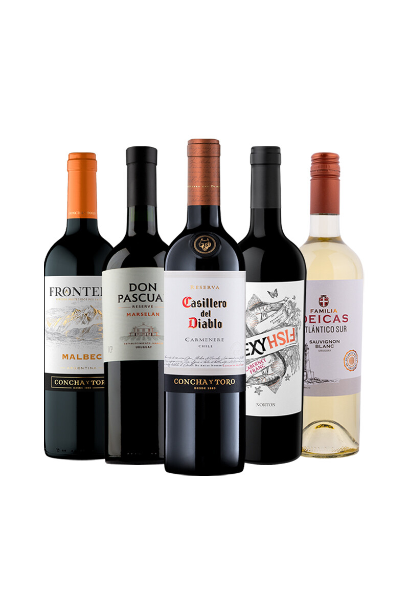 Pack Bacán Selección The Wine Edit x5 vinos Golden Hour 