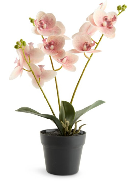 Planta artificial GUDJON H35 cm orquídea Planta artificial GUDJON H35 cm orquídea