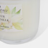 VELA AROMATICA EN POTE DE VIDRIO VAINILLA Unica