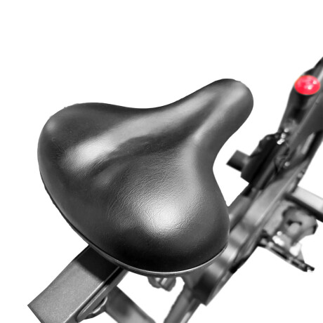 Bicicleta Spinning Expert Fitness The Beast 18kg Gym002018