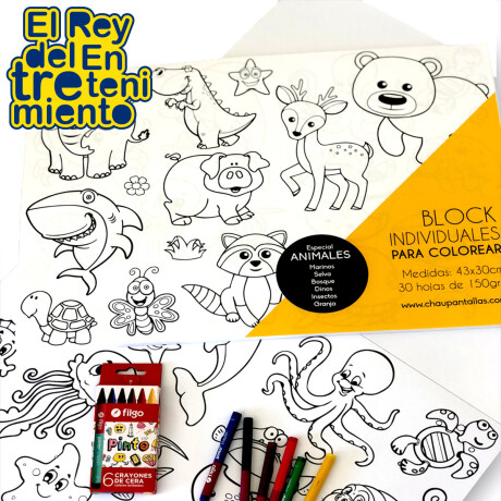 Block x30 Hojas Gigantes 43x30cm P/ Colorear Pintar Animales