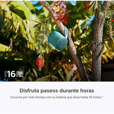 Parlante Inalámbrico Portatil Sony SRS-XB100 Azul