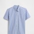 V-SS STANDARD POPLIN BLUE WHITE STRIPE