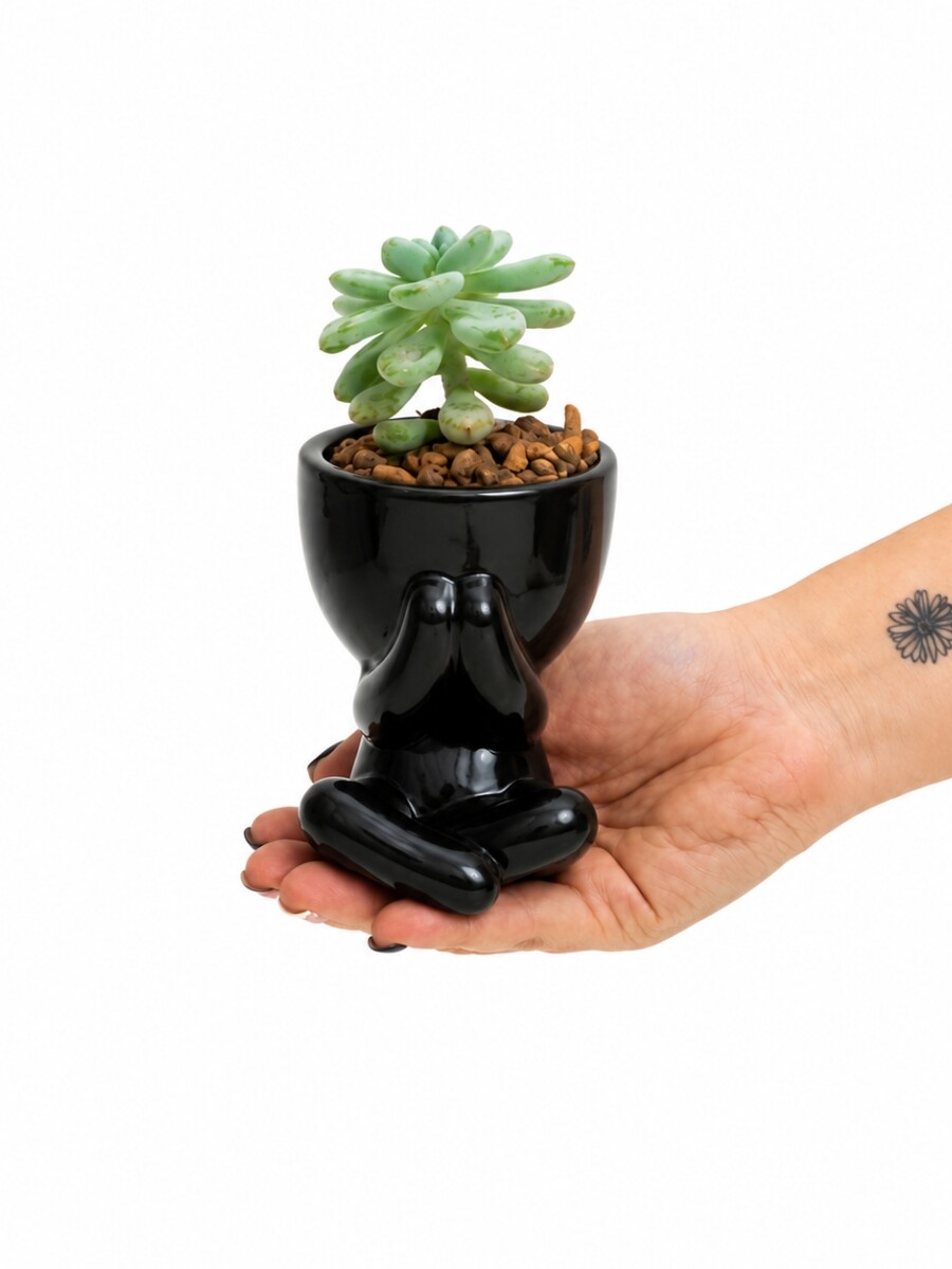 LITTLE PEOPLE CON SUCULENTA NEGRO