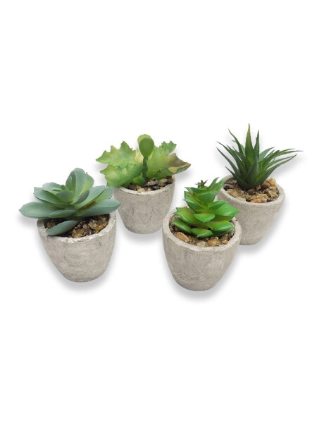 SUCULENTA DECORATIVA D12CM SURTIDO SUCULENTA DECORATIVA D12CM SURTIDO