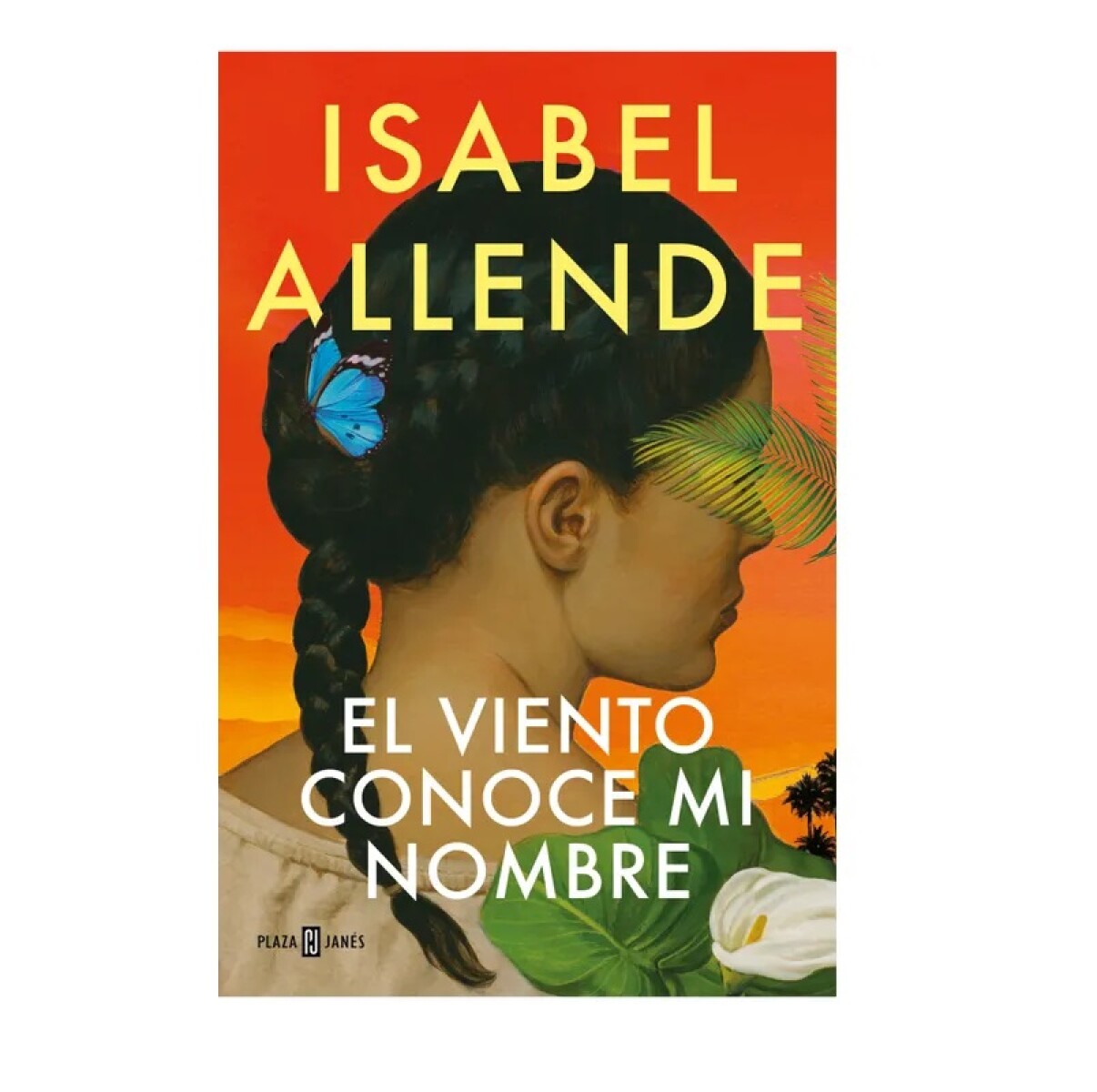 VIENTO CONOCE ML NOMBRE EL 