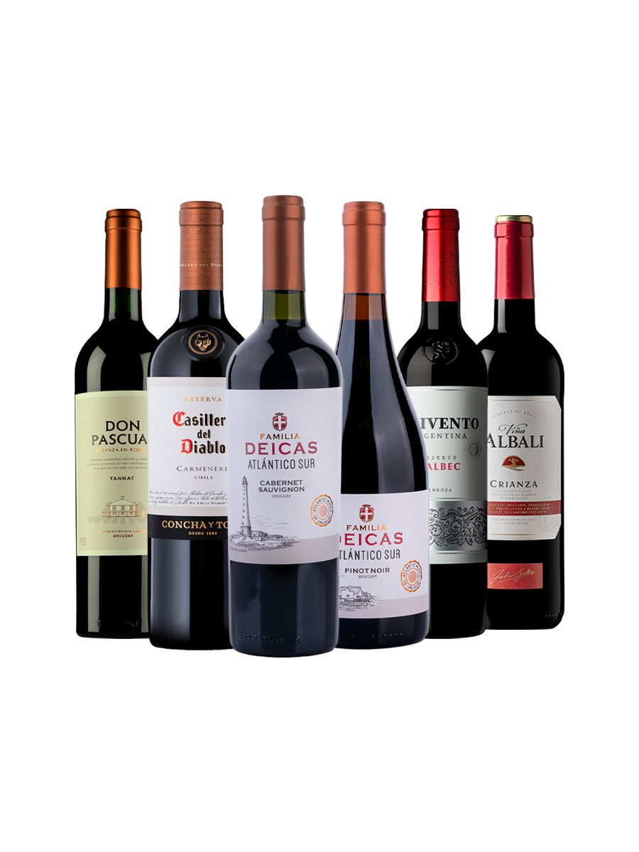 Pack Bacán Selección Everyday x6 vinos Pack Bacán Selección Everyday x6 vinos