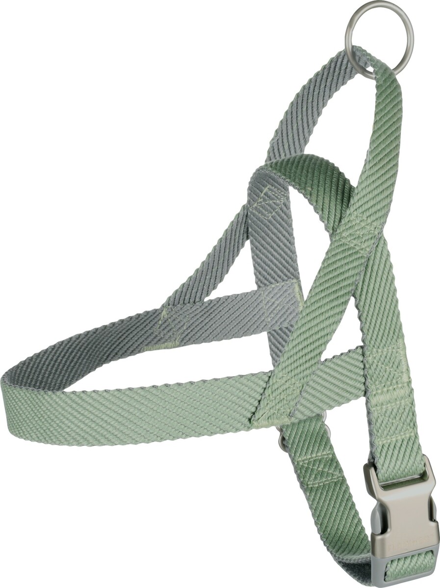 PERRO ARNES NOORS ELLY VERDE CLARO XS 31CM 35-45CM 15MM 