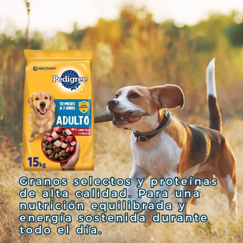 PEDIGREE PERROS ADULTOS 15 KG + SNACK BISCROK DE REGALO