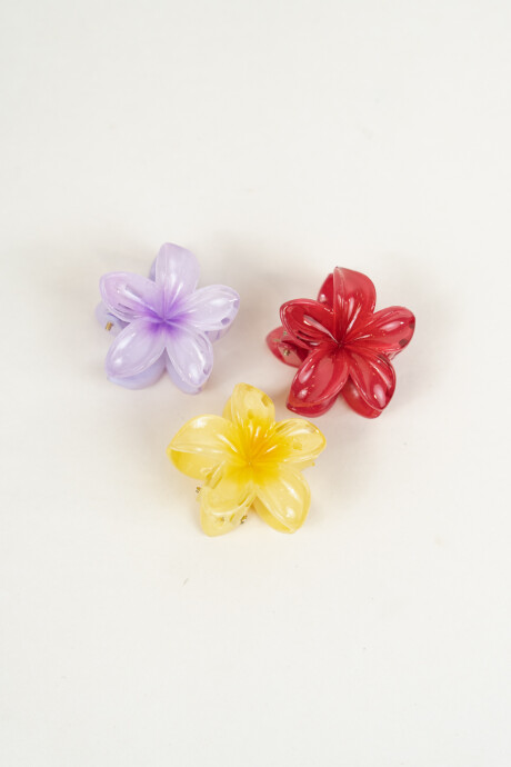 Pinza De Pelo Amaru, Set 3 Piezas Estampado 1
