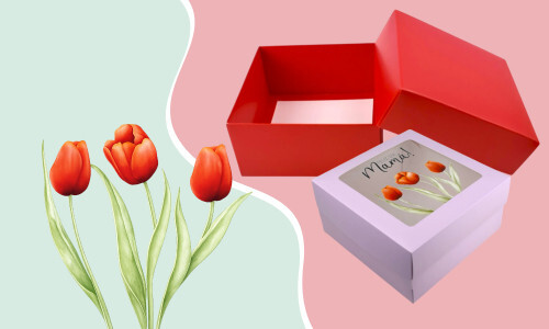 Cajas varios diseños