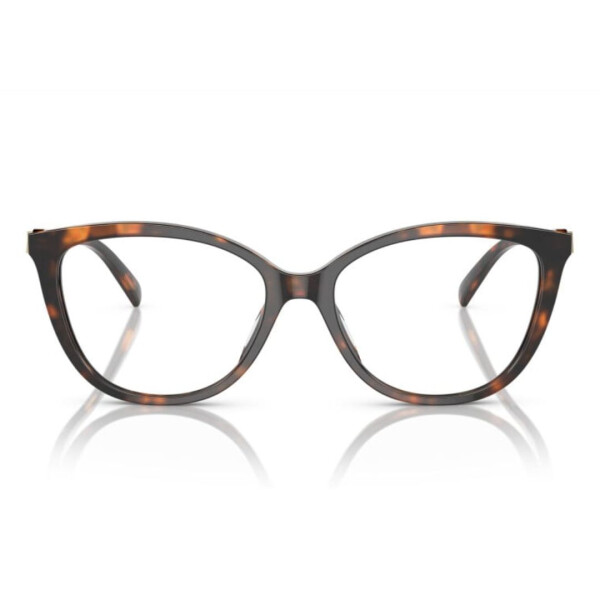Michael Kors 4109U col 3006 Michael Kors 4109u Col 3006