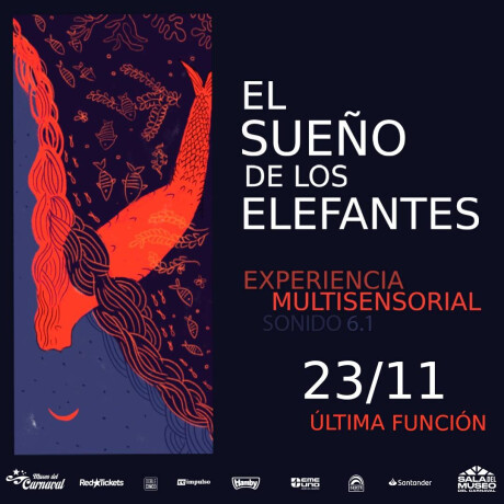 El Sueño de los Elefantes Sentadas 17:00 hrs
