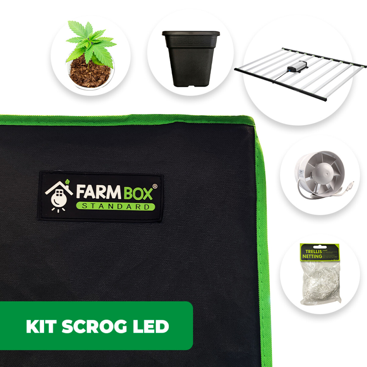 KIT INDOOR SCROG LED STANDARD - 240X240X200CM 