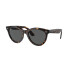 Rayban 2241 Havana