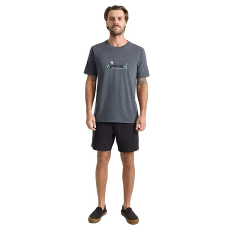 Remera Roark Mountain Livin Azul