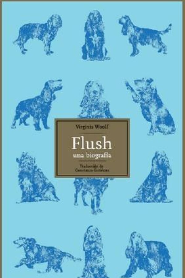 Flush Flush