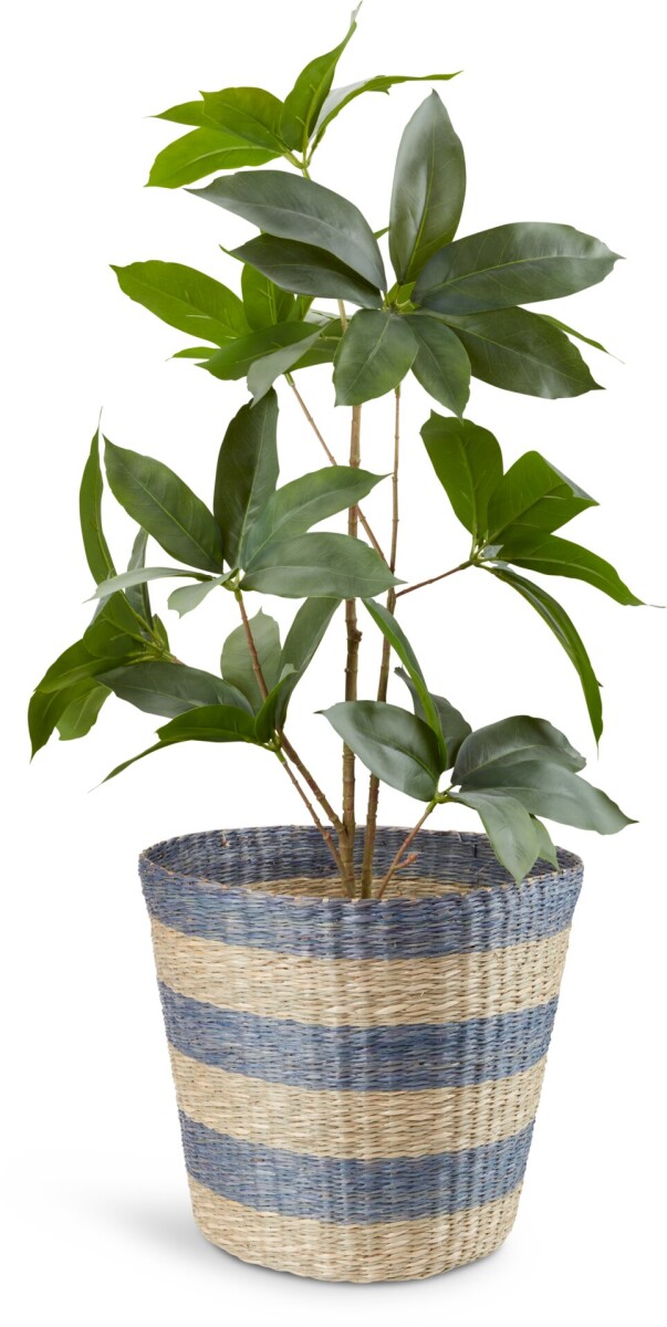 Cesta VESTER Ø35xA30cm hierba marina 
