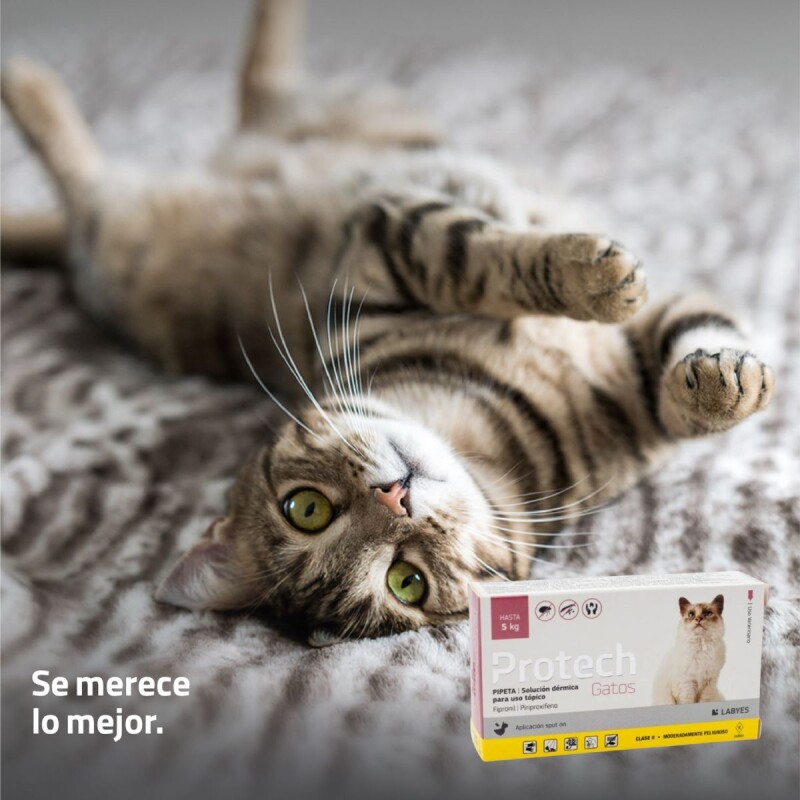 PROTECH PIPETA ANTIPULGAS CON ACCIÓN AMBIENTAL PARA GATOS HASTA 5 KG