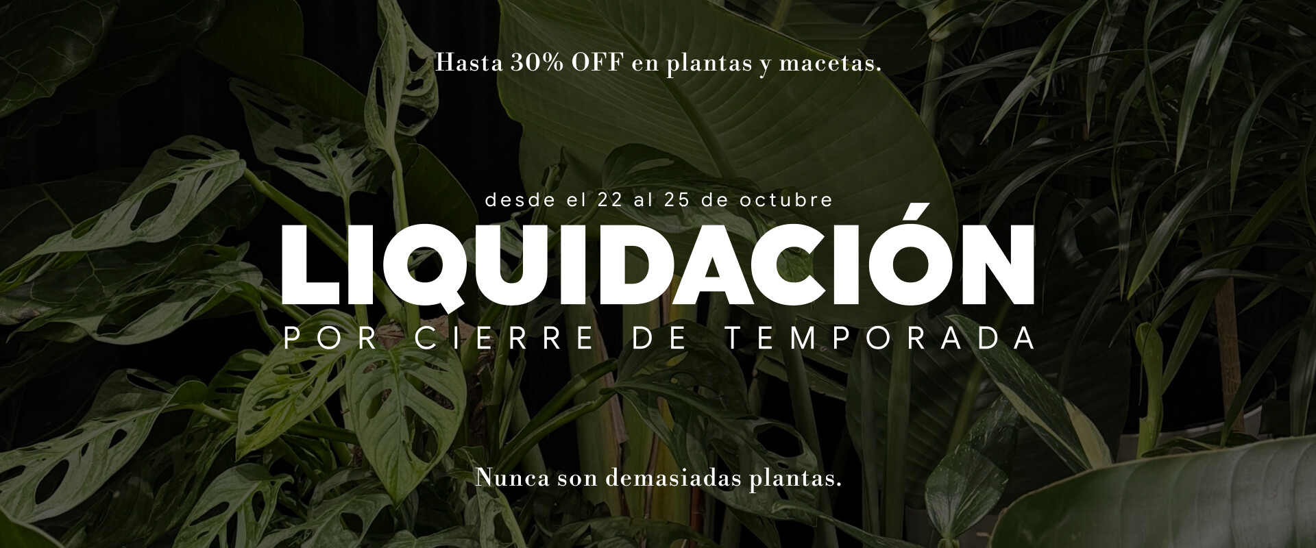 HomeSlider - DESCUENTO FIN DE SEMANA