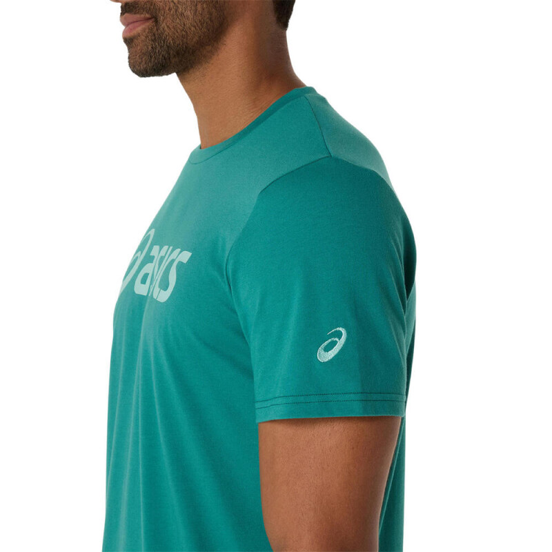 Polo Training Graphic Tee Hombre Rainy Lake