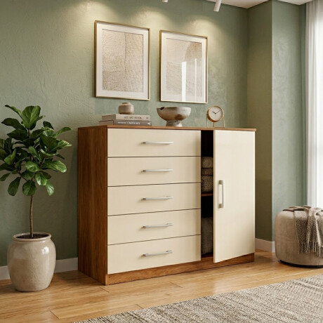 CÓMODA CAJONERA GUARDARROPA 5 CAJONES 1 PUERTA DEMOLICION