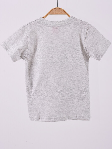 REMERA WILD GRIS