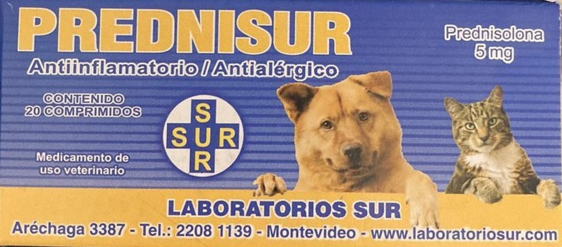 PREDNISUR 5 MG X 10 COMP. 