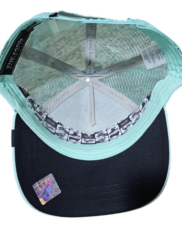 Gorra Goorin Bros Trucker Baseball - The Killer Orca Verde Agua