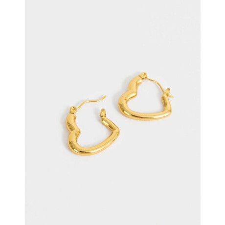 Aros Argolla Acero Quirúrgico Dorado