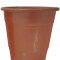 Vaso Biodegradable 210ml x10 Gold Rose