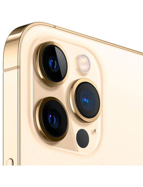 Celular iPhone 12 PRO MAX 256GB (Refurbished) Gold
