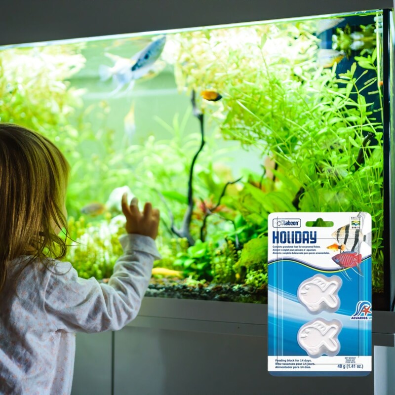 ALIMENTO VACACIONAL PECES HOLIDAY 14 DIAS 40 GRS ALIMENTO VACACIONAL PECES HOLIDAY 14 DIAS 40 GRS