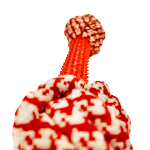 Juguete Perro Masticable Cuerda Soga Nudos Dental 22Cm Variante Color Rojo