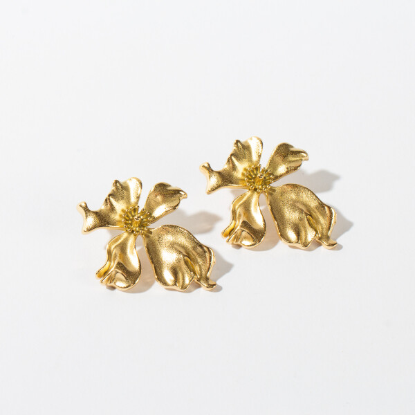 CARAVANAS NÉBULA CARAVANAS NÉBULA