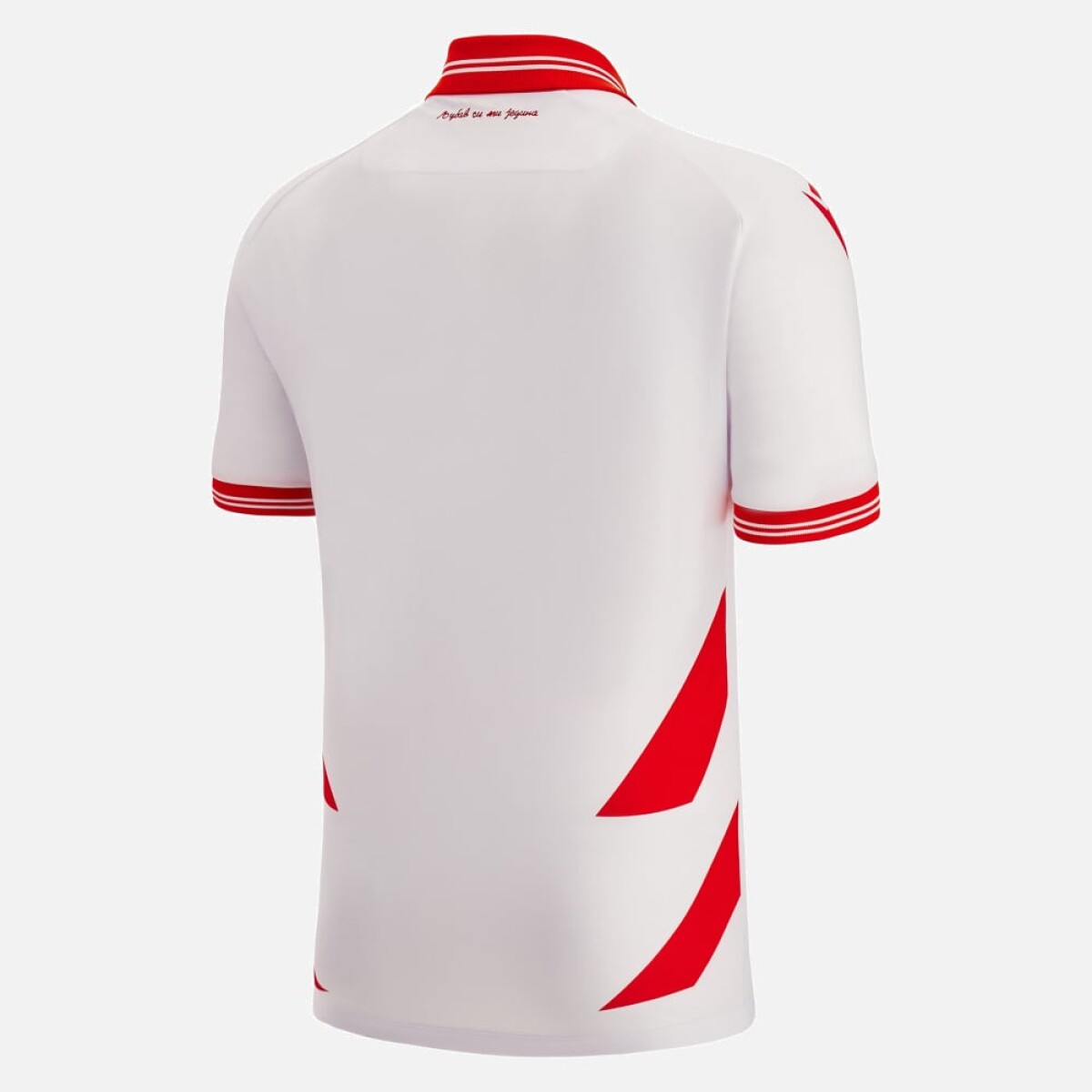 CAMISETA ESTRELLA ROJA DE BELGRADO CAMISETA ESTRELLA ROJA DE BELGRADO