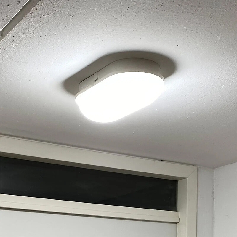 LTEL150 Tortuga Oval LED 15W Exterior Luz Fría